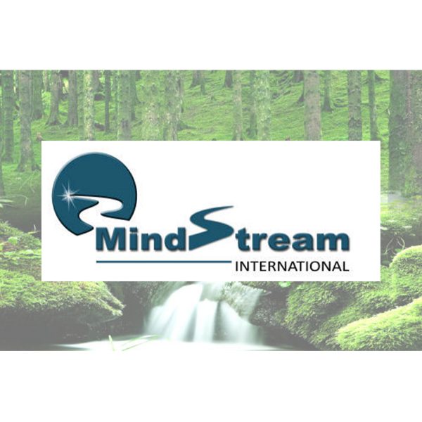 Mind Stream International