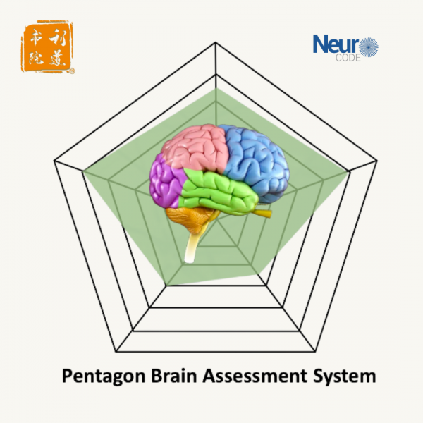 5D Pentagon Brain Assessment System