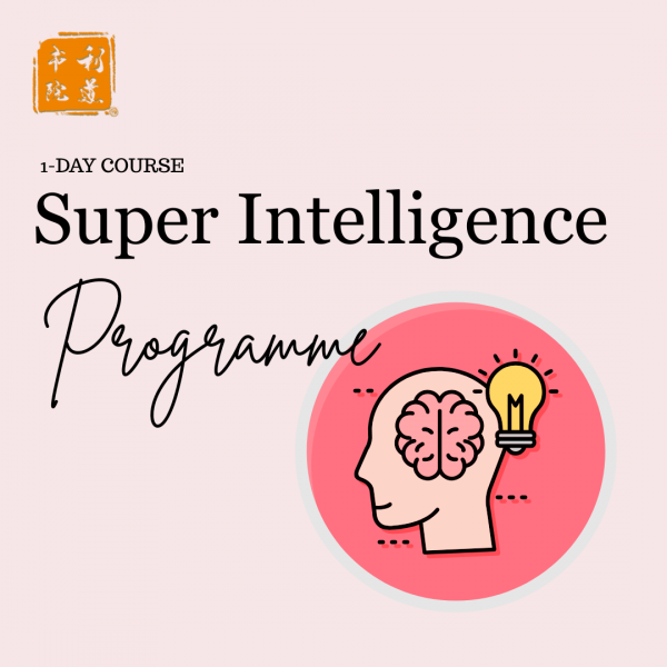 Super Intelligence Programme (1 Day)